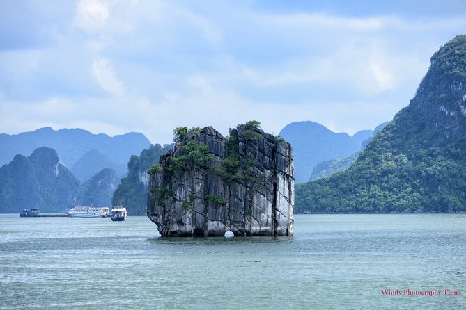 Halong Bay 6 Hours Cruise with Buffet, Sung Sot, Luon Cave, Titop - A 6-hour Ha Long Bay cruise that keeps the day moving