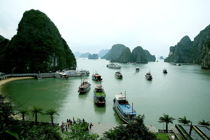 Halong Bay Cruise Tour from Hanoi with Kayak Adventure - Tuan Chau Harbor and Your Seafood Lunch on Board