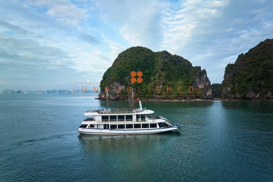 Halong Bay Delights: Deluxe Day Cruise with Kayaking & Lunch - Price and Value: How $36 Stacks Up for a 6-Hour Day