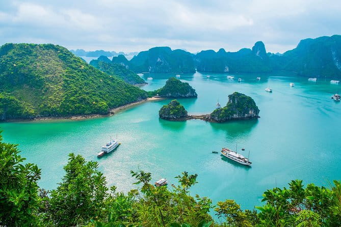 Halong Bay Full Day with All-Inclusive - Afternoon tea, cruising back, and how to use the downtime well
