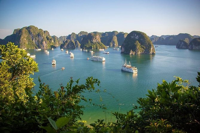 Halong Bay In Just One Day with Ti Top Island - Tuan Chau Island Boarding and Seafood Lunch While You Cruise