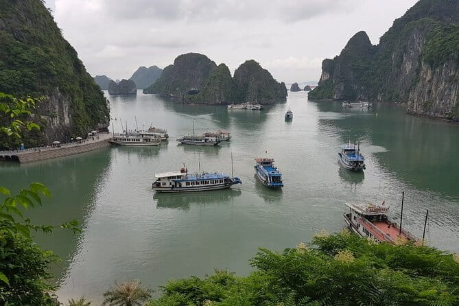 Halong Bay Shore Excursion: Full Day Cruise Tour from Cruise Port - The Classic Islet Stops: Stone Dog, Incense Burner, and Fighting Cock