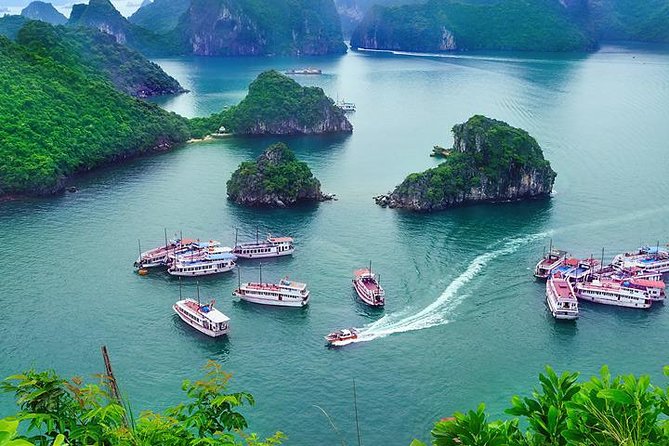 Halong Day Trip From Hanoi - Seafood lunch onboard, and why it helps the pacing