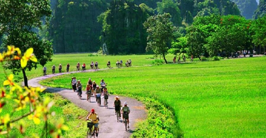 Hanoi: 2-Day Tour to Ninh Binh & Halong Bay With Transfer - Morning pickups and transfers, what to expect