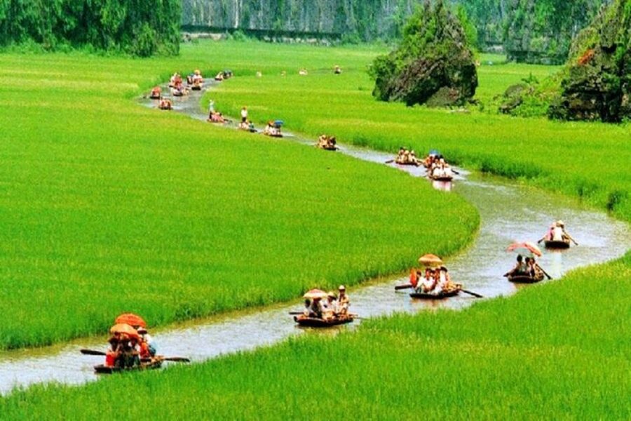 Hanoi: 3-Day Ninh Binh to Bai Tu Long Bay Tour and Cruise - Day 2 cruise check-in, food, and activities in a smooth sequence