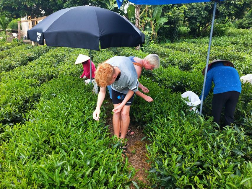 Hanoi: 3-Day Tour to Ban Gioc Waterfall and Ba Be Lake - Why this Cao Bang to Ba Be route feels different from a bus tour