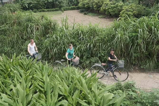 Hanoi Backstreet Bicycle Tour - Long Bien Bridge and the Red River farming area