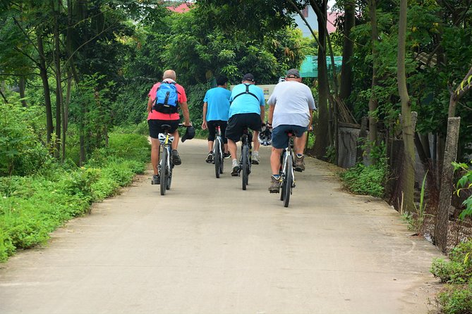 Hanoi Bicycle Tours: Half Day Bicycle Tours Hanoi Countryside - Co Loa Citadel plus wet market fruit tasting and lotus lake drinks