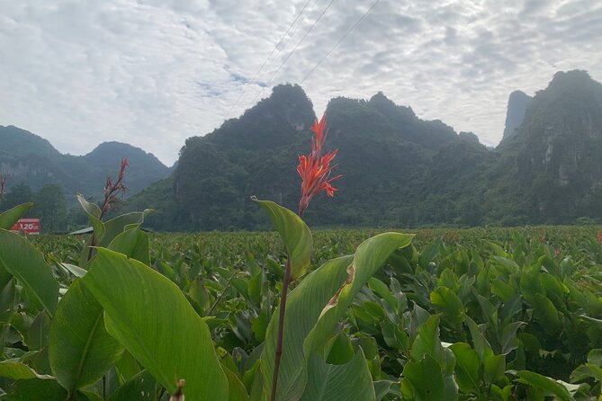 Hanoi - Cao Bang city - Ban Gioc Warterfall 2days/2nights ED7 - Meals and what’s included in the $119 price