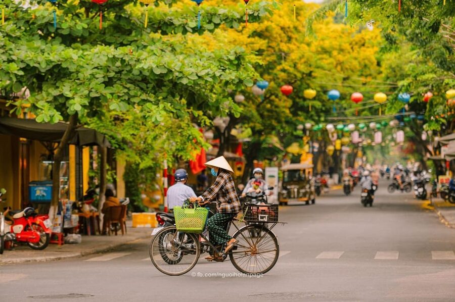 Hanoi City Half Day - A City Saves Traditional Beauties - Key highlights you will care about