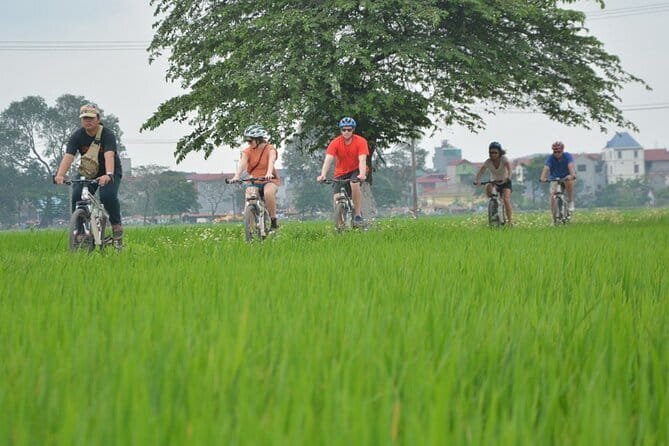 Hanoi Countryside By Bike & Local House and Food Tasting - Key Highlights You Will Actually Care About