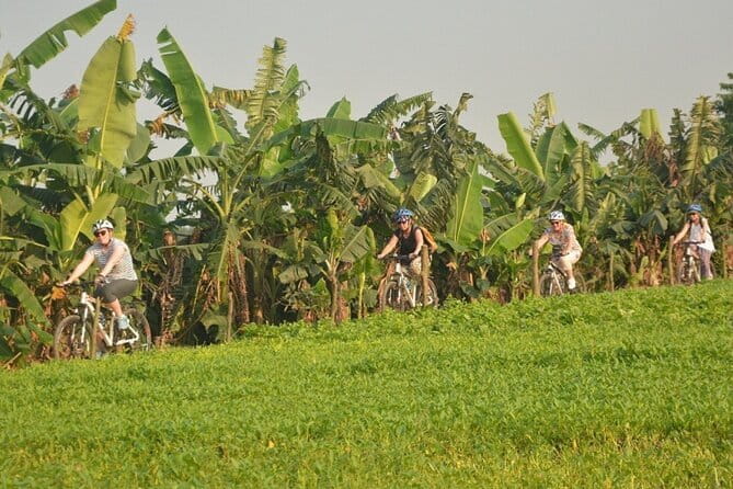 Hanoi Countryside By Bike & Local House and Food Tasting - Co Loa Temple and Citadel: History You Can Pair with Daily Culture