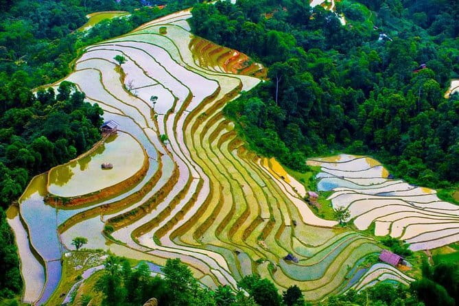 Hanoi Countryside By Bike & Local House and Food Tasting - Timing and Duration: How a 4.5 Hour Ride Fits Real Hanoi Plans