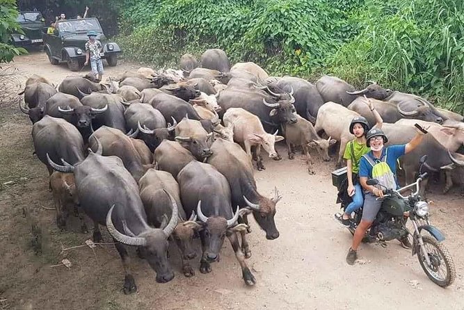 Hanoi Countryside Motorbike Tour: Red River Culture & Daily Life - Key highlights worth your time