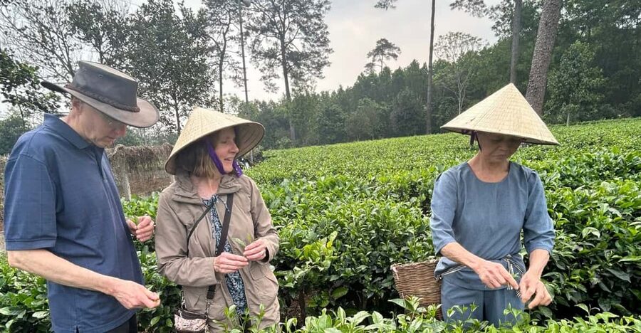 Hanoi Eco Tour: Ba Vi National Park Wonders & Tea Plantation - Đền Thượng Temple Above the Clouds
