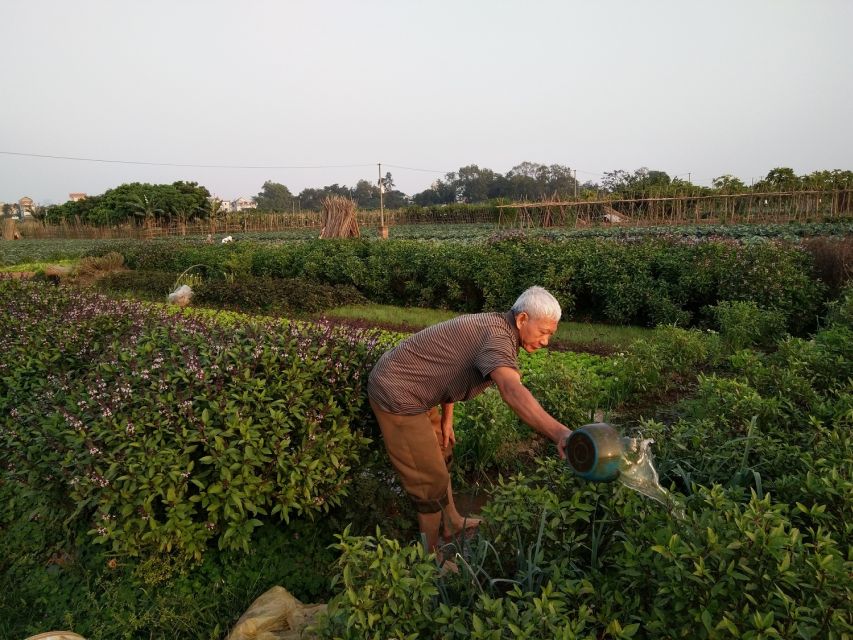 Hanoi Farm Tour and Cooking Class with Local Family - Back in a family kitchen: cooking Vietnamese dishes the practical way