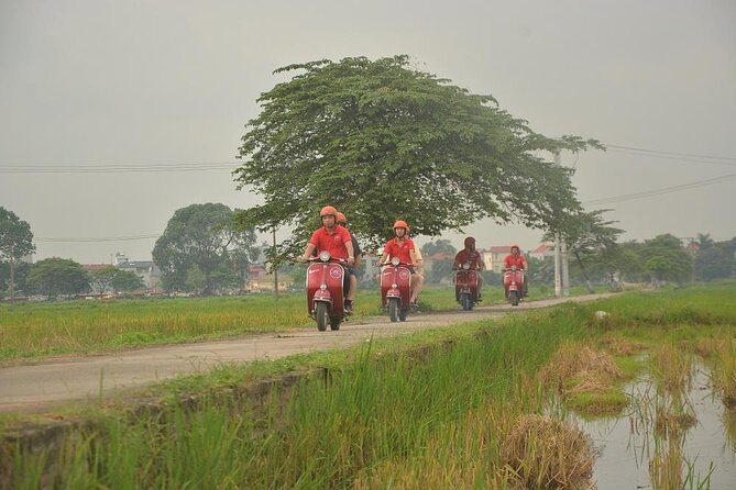 Hanoi Food Tours: Hanoi Foodie Scooter Tour Led By Women - What the reviews emphasize, and why it matters to you