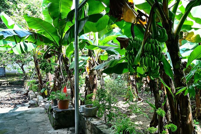 Hanoi Full Day A Private Tour With Mix of History and Activities - Vietnam Museum of Ethnology and the value of 54 ethnic groups