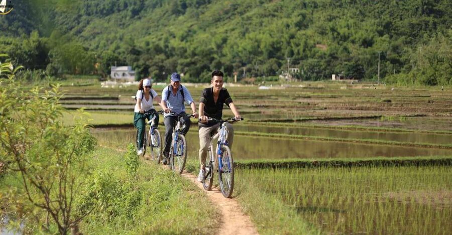 Hanoi: Full Day Guided Tour of Hoa Lu, Tam Coc, and Mua Cave - Buffet lunch in Ninh Binh: fueling up before the boat and the bike