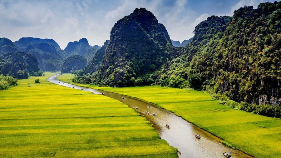Hanoi: Full Day Tour of Hoa Lu, Tam Coc, and the Mua Cave - Buffet Lunch: Local Vietnamese Food with Vegetarian Options