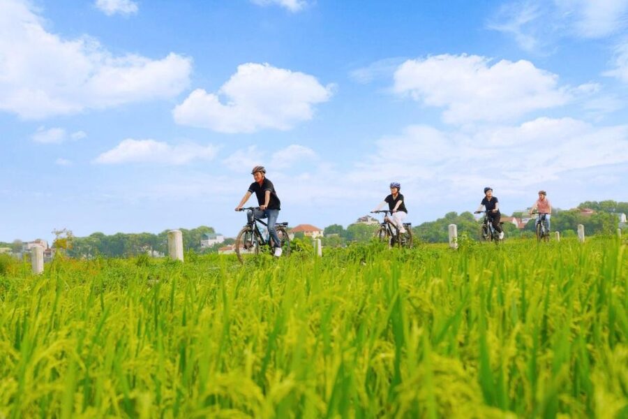Hanoi: Guided Full-Day Hoa Lu, Trang An and Mua Cave Tour - Trang An UNESCO boat ride: the karst views you came for