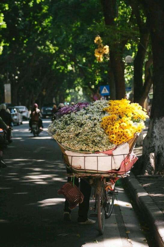 Hanoi: Half-day Private City Tour - Private Hanoi in 4 hours: the “see a lot, stress less” plan