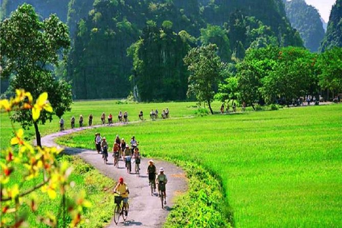 Hanoi - Hoa Lu - Tam Coc - Mua Cave - 1 Day Tour. By Luxury Limousine From Hanoi - Lunch Buffet and the Vietnamese Tea Break: Where the Day Gets Fuel