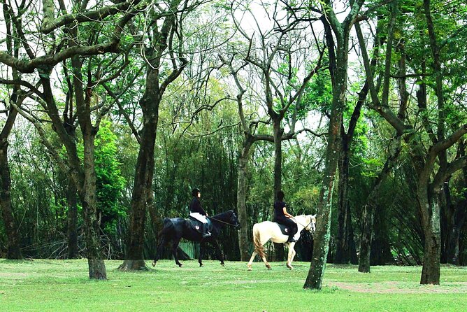 Hanoi Horseback Riding Club & Tours - Exclusive Experience - Key highlights you should know before you go