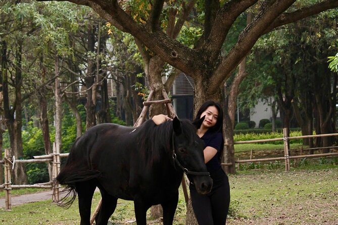 Hanoi Horseback Riding Club & Tours - Exclusive Experience - Price value at $12, and what can change your total cost