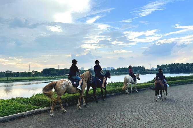 Hanoi Horseback Riding Club & Tours - Exclusive Experience - Who this horseback riding tour suits best in Hanoi