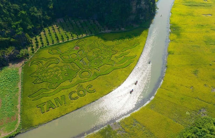 Hanoi: Incense Village, Ninh Binh Hoa Lu, Trang An, Mua Cave - Key takeaways before you go