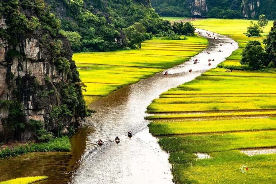 Hanoi: Incense Village, Ninh Binh, Tam Coc, & Hoa Lu Tour - A focused Hanoi to Ninh Binh day trip, built for real moments