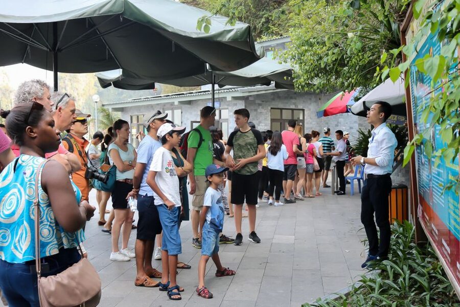 Hanoi: Islands & Caves Ha Long Cruise with Lunch & Kayaking - Who this cruise day suits best, and who should skip it