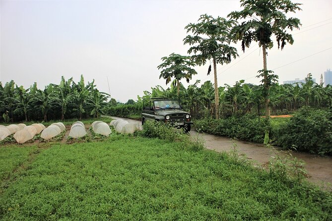 Hanoi Jeep Tours Led By Women: Hanoi Countryside By Legend Jeep - Stop 3: Hồ Trúc Bạch and the Lunch Break You’ll Actually Enjoy