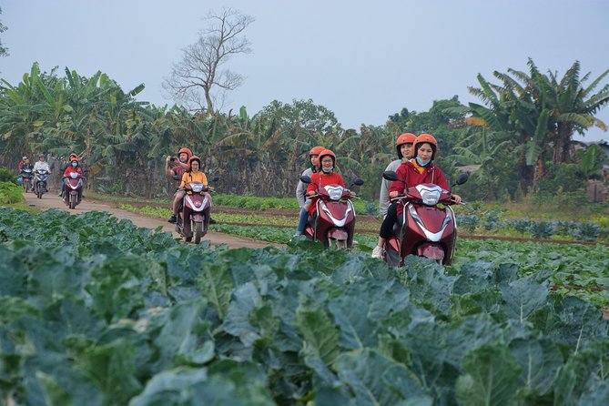 Hanoi Motorbike Tours Led By Women: Hanoi Outskirts & Rural Life - Stop-by-stop: Long Bien Bridge, Dong Anh lanes, and Co Loa Citadel