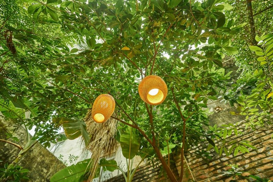 Hanoi’s Culinary: Authentic Cooking Class and Local Market - Morning or afternoon, which Hanoi cooking class timing fits you?