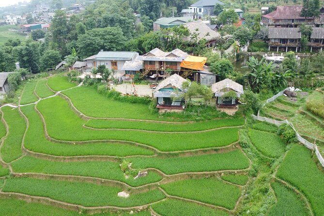 Hanoi - Sapa 3 Day 2 Night Trekking With Hotel & Homestay - Tips to make the most of Cat Cat, Lao Chai, Ta Van, and Su Pan