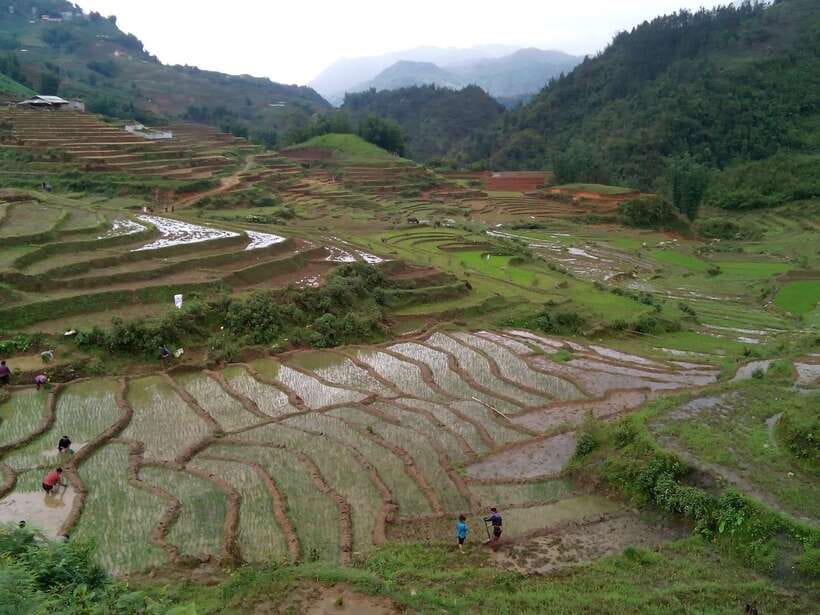 Hanoi- SaPa: 3-Day Homestay Trek to Explore Ethnic cultures - Should you book this 3-day homestay trek?