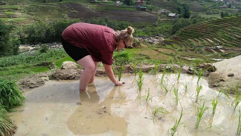 Hanoi- SaPa: 3-Day Homestay Trek to Explore Ethnic cultures - A Sapa homestay trek: culture you can see, not just read