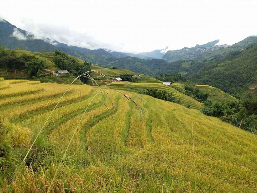 Hanoi- SaPa: 3-Day Homestay Trek to Explore Ethnic cultures - What to pack and how to handle cold, wet trek days