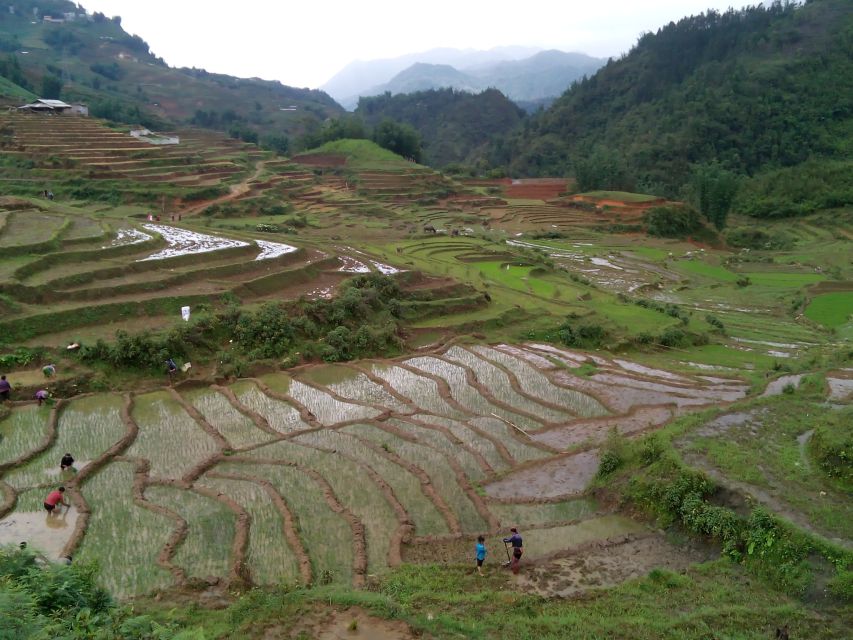Hanoi- SaPa: 3-Day Homestay Trek to Explore Ethnic cultures - Who this trip suits, and who should skip it