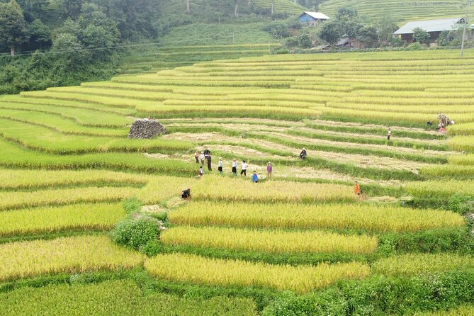 Hanoi - Sapa 3 Days - 2 Nights Trekking with With the locals - Key highlights from this Hanoi to Sapa trekking trip