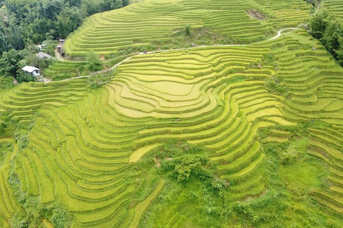 Hanoi - Sapa 3 Days - 2 Nights Trekking with With the locals - From Hanoi to Sapa by VIP bus, then straight into Cat Cat village