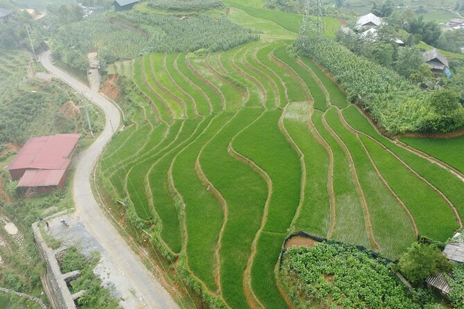 Hanoi - Sapa 3 Days - 2 Nights Trekking with With the locals - Price and logistics: what you’re paying for at $130 per person