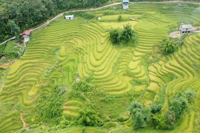 Hanoi - Sapa 3 Days - 2 Nights Trekking with With the locals - Day 2: Y Linh Ho, Lao Chai, and Ta Van, a trek that rewards sturdy shoes