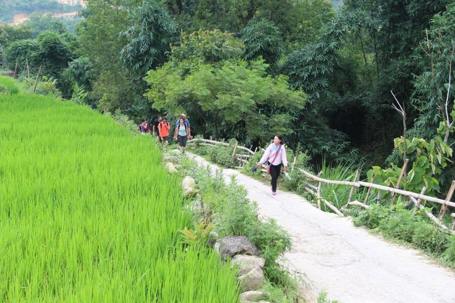Hanoi to Sapa: Terraced Fields, Culture & Cuisine – 3 Days - Ta Van cooking class night: learn dinner, not just photos