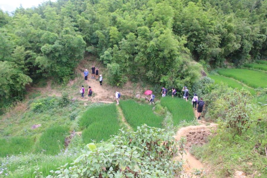 Hanoi to Sapa: Terraced Fields, Culture & Cuisine – 3 Days - Getting ready for mud: shoes, small bags, and practical packing