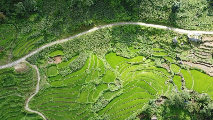 Hanoi to Sapa: Terraced Fields, Culture & Cuisine – 3 Days - Day 1 in Sapa: Cat Cat Village, waterfall, and the French hydroelectric story