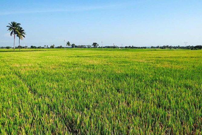 Hanoi Vespa Countryside Tour With Female Ao Dai Riders Half Day - Is This Tour For You? (And When It Might Not Be)