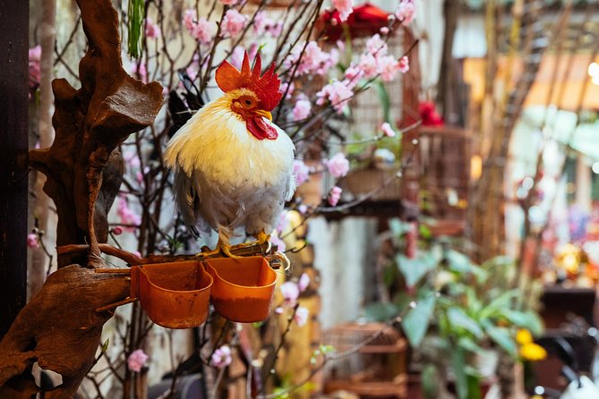 Highlights & Hidden Gems With Locals: Best of Hanoi Private Tour - Meeting Point, Pace, and What Private Really Means